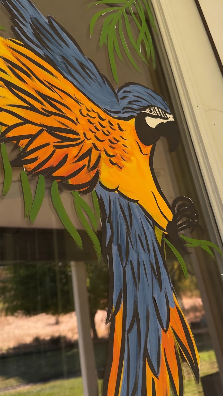 Blue-and-gold macaw window painting by Katie Paige Art Co